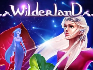 Wilderland thumbnail